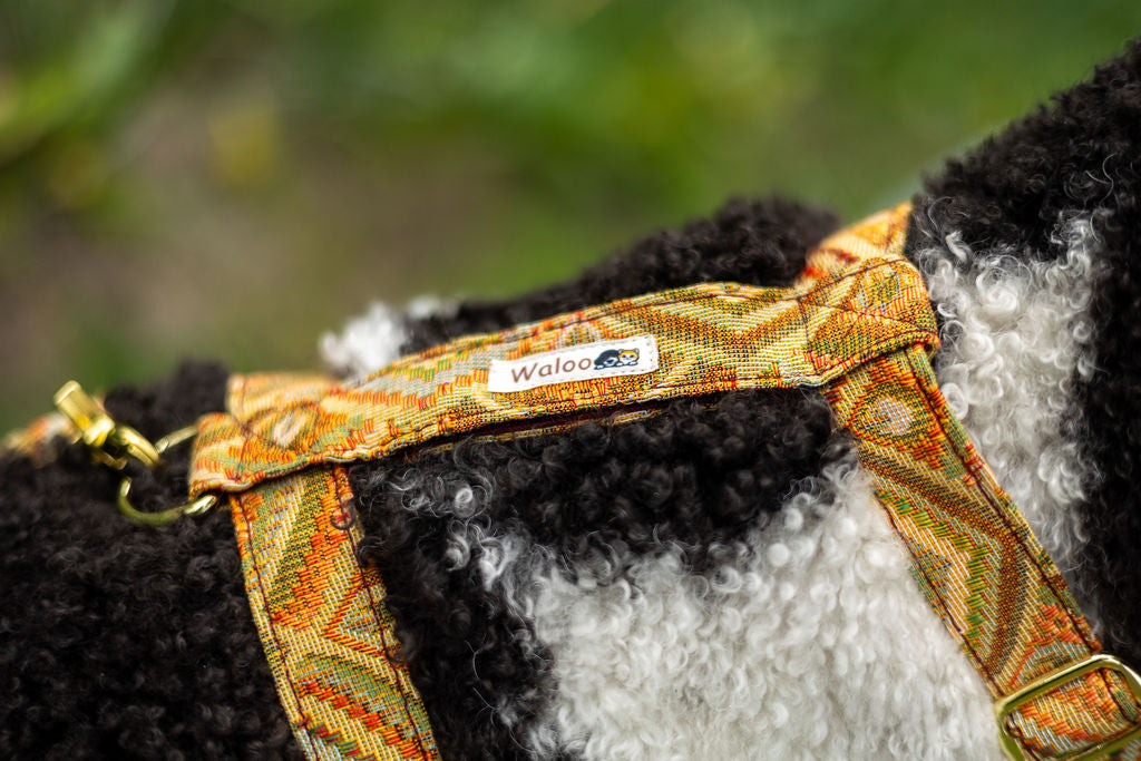 Harness Royal Ember