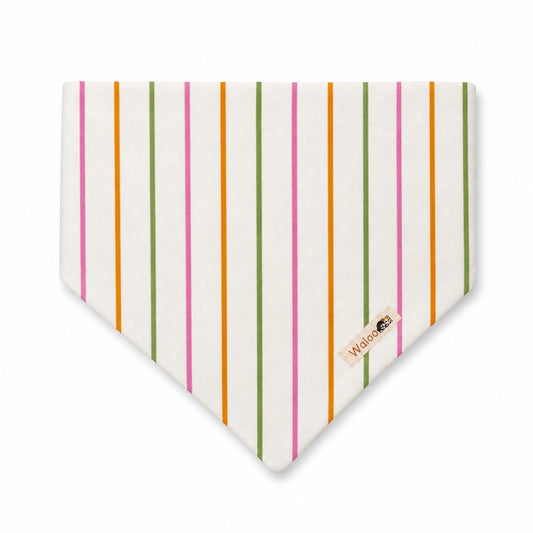 Candy stripe