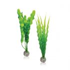 biOrb Plantenset Groen M 2 Stuks