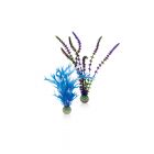 biOrb Plantenset Blauw & Paars M 2 Stuks