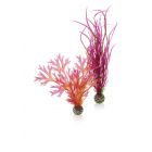 biOrb Plantenset Rood & Roze M 2 Stuks