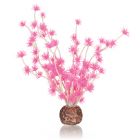 biOrb Bonsai Bal Roze