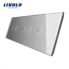 Livolo Glasplaat 3 x Tweepolig Grijs