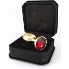 Rimba Gouden Buttplug Klein met Kristal Massief Unisex Rood RVS 